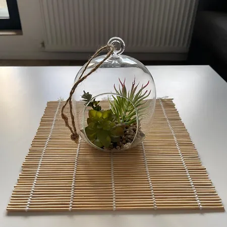 公寓 Exquisite 布加勒斯特